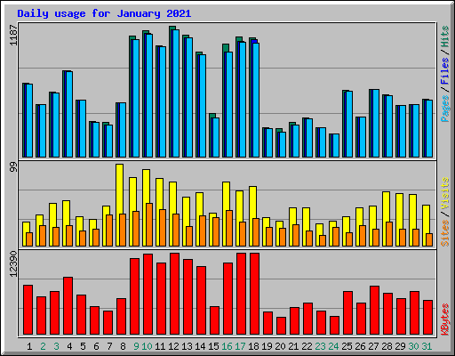 Daily usage for January 2021