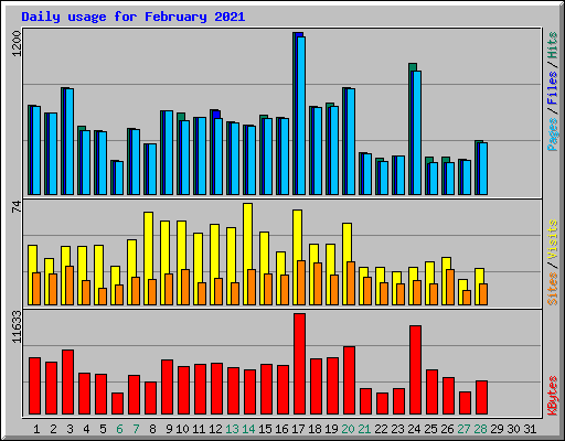 Daily usage for February 2021