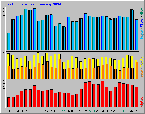 Daily usage for January 2024