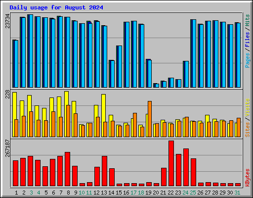 Daily usage for August 2024