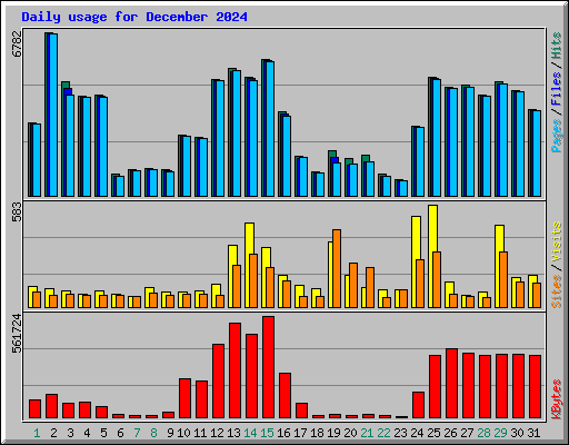 Daily usage for December 2024