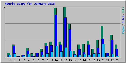 Hourly usage for January 2013