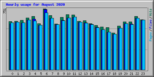 Hourly usage for August 2020