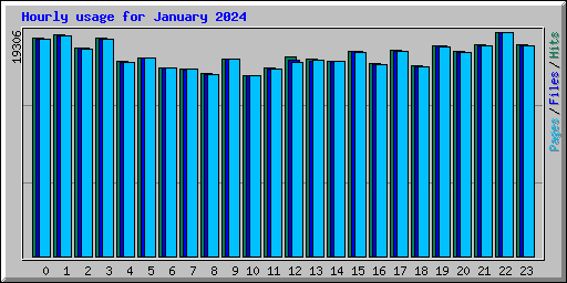 Hourly usage for January 2024