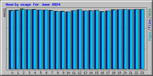 Hourly usage for June 2024