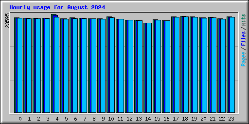 Hourly usage for August 2024