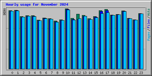 Hourly usage for November 2024