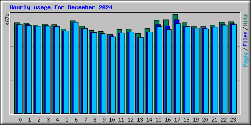 Hourly usage for December 2024