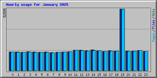 Hourly usage for January 2025