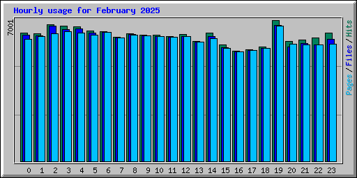 Hourly usage for February 2025