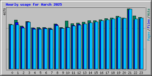 Hourly usage for March 2025