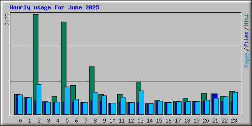 Hourly usage for June 2025