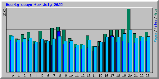 Hourly usage for July 2025