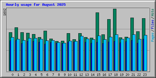 Hourly usage for August 2025